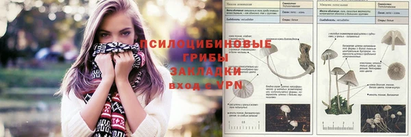 меф Заводоуковск